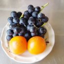 강화자연농원펜션 이미지