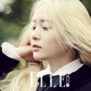 싱그로운 이미지