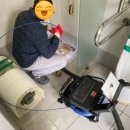 수영강변 공중화장실 네이버블로그