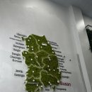 만장일취 이미지