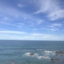 보랏빛민박 | 뚜벅이 추천여행 : 정동진 1박2일 🌊🐳💙 feat.안자매