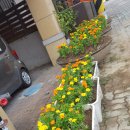 도림어울림센터 이미지