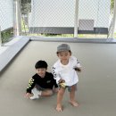 백석탄골부리캠핑장 이미지