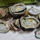 전남회타운 이미지