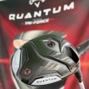 논산 골프매장에서 캘러웨이 퀀텀 미니 드라이버 시타 후 구매 후기
