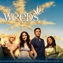 (펌) '아메리칸 뷰티'를 능가하는 블랙코미디를 볼수있는 weeds 이미지