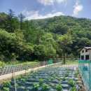 힐링(장태산) 이미지