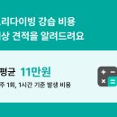 직장인 취미가 고민이라면? 프리다이빙 강습 비용, 후기 알아보고 도전해 보세요!