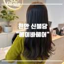 에이바헤어천안차암점 | 에이바헤어 천안 신불당점 | 매트브라운 뿌리염색 클리닉 후기