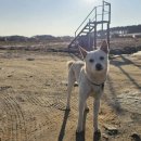 엔젤드론교육원 네이버블로그