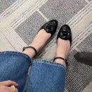 화이트카멜리아 이미지