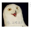 애드문 이미지