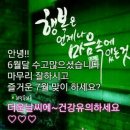 이쁜여우 이미지
