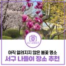 아라뱃길시천자전거대여소 | 경인아라뱃길 시천공원 봄꽃길 산책 추천해요! [물어봐 캠페인]