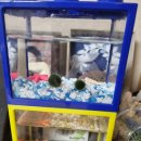 [별자리학습] 힐링되는 가죽공예 | &lt;자녀교육&gt;아날로그 경험 쌓기