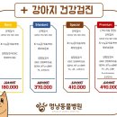 우정 동물병원 이미지