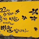 꽃마을천 네이버블로그