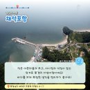 충남 태안 용신마을