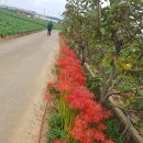 도리포민박 이미지