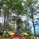 도토리캐빈 이미지