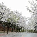 우천중학교 이미지