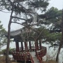 예당관광지 | 봄 여행 예산 예당호 모노레일 전망대 출렁다리 예당관광지 여행