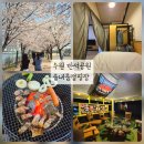 문화소공원 공중화장실 | [수원 여행] 만석공원 벚꽃 명소, 솔내음캠핑장 글램핑 솔직 후기 (온수 꿀팁)