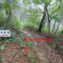 녹차밭약수터 이미지