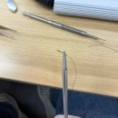 Mastering third molar extraction hands on course -덴탈빈 제3대구치 발치 세미나 후기 (조용석 원장님)