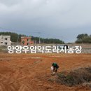 우암농장 이미지