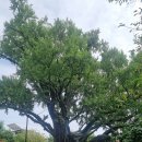 도봉-도봉-서울도봉-2053 이미지