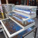 동해밤바다 부천본점 이미지