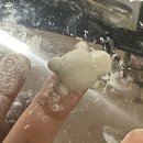 돌봐줄개 | 나를 좀 더 돌봐줘야겠어 / 2월