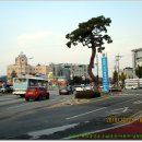 해금장여관 이미지