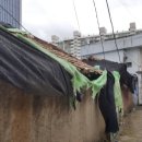 서구-02-45 이미지