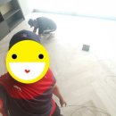파워사운드 이미지