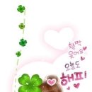 월드민박 이미지