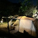 버드나무캠핑장 이미지