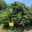 원규농장 | 꽃게담다 By 블루베리팜 남동 본점 내돈내산 방문후기 (LA갈비, 꽃게찜, 블루베리주🫐)