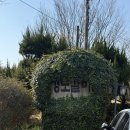 스피드메이트 남양산IC점 | 양산 통도사 맛집 추천 경도갈비 점심특선 후기