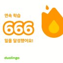 666 | 듀오링고 일본어 666일 간단 후기 (듀오링고 맥스)