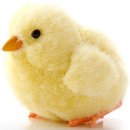 상식농장 이미지