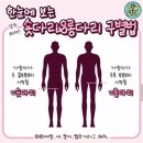 숏다리 & 롱다리 구별법 이미지