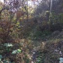 봉암마을 공중화장실 이미지