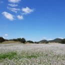 성읍리-5 이미지