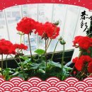 연희노인문화센터 이미지