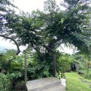 카페힐민박 이미지