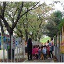 성모성심유치원 이미지