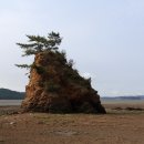 한성필하우스아파트경로당 이미지