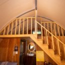 소나무세상 이미지